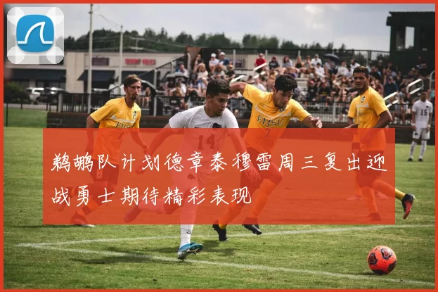 鹈鹕队计划德章泰穆雷周三复出迎战勇士期待精彩表现