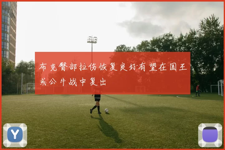 布克臀部拉伤恢复良好有望在国王或公牛战中复出