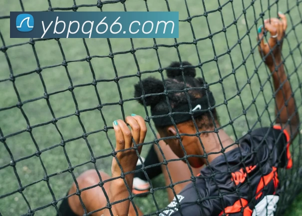 亚博棋牌平台生态图