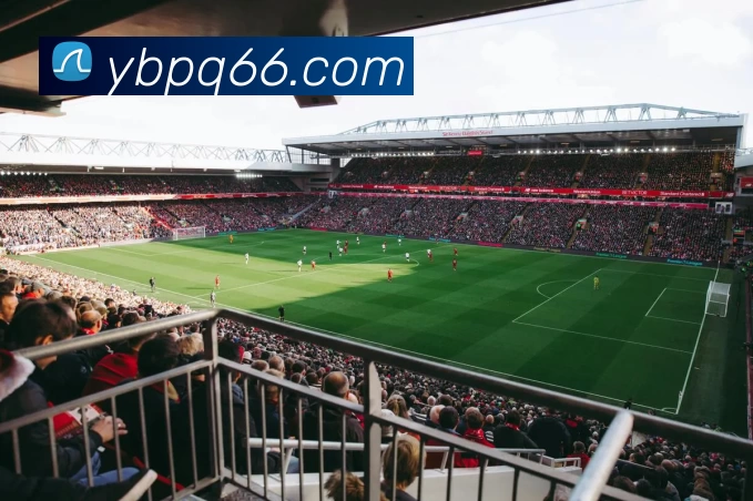 亚博棋牌APP 封面图